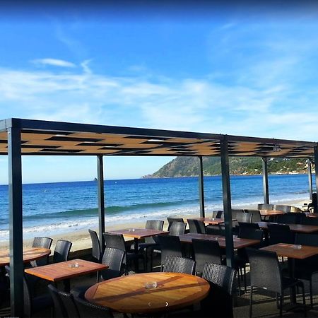 Bas De Villa Jardin Plein Sud Proche Mer Clim-Wifi Saint-Mandrier-sur-Mer Exterior foto